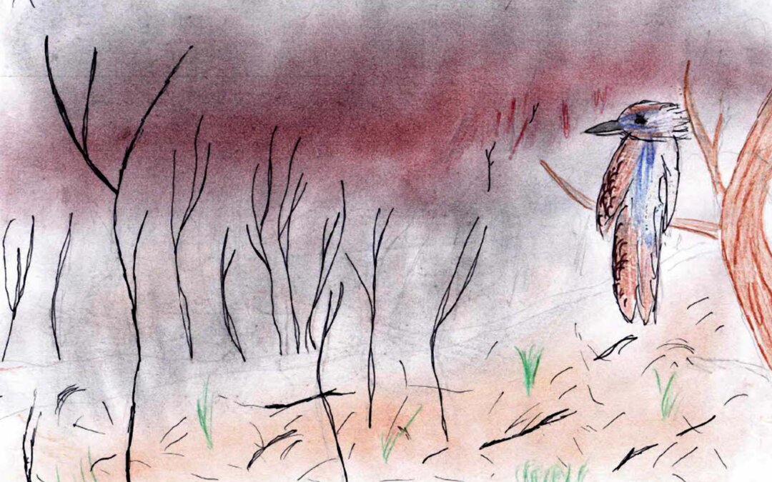 Bushfire Drawing